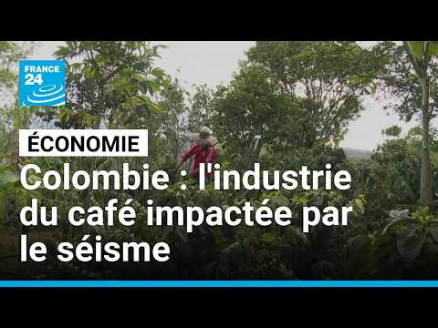 Colombie : comment un séisme de 265 morts fait vaciller l’économie du café