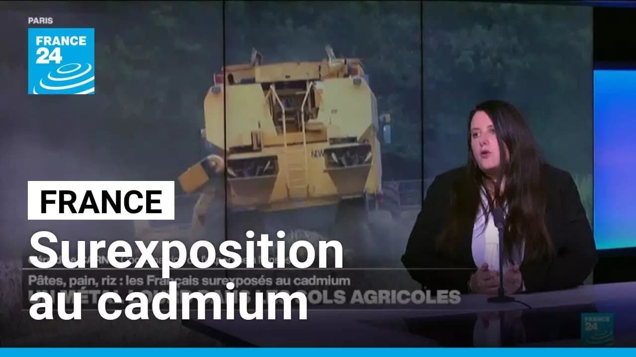 Cadmium dans nos assiettes : la bombe sanitaire qui menace les Français