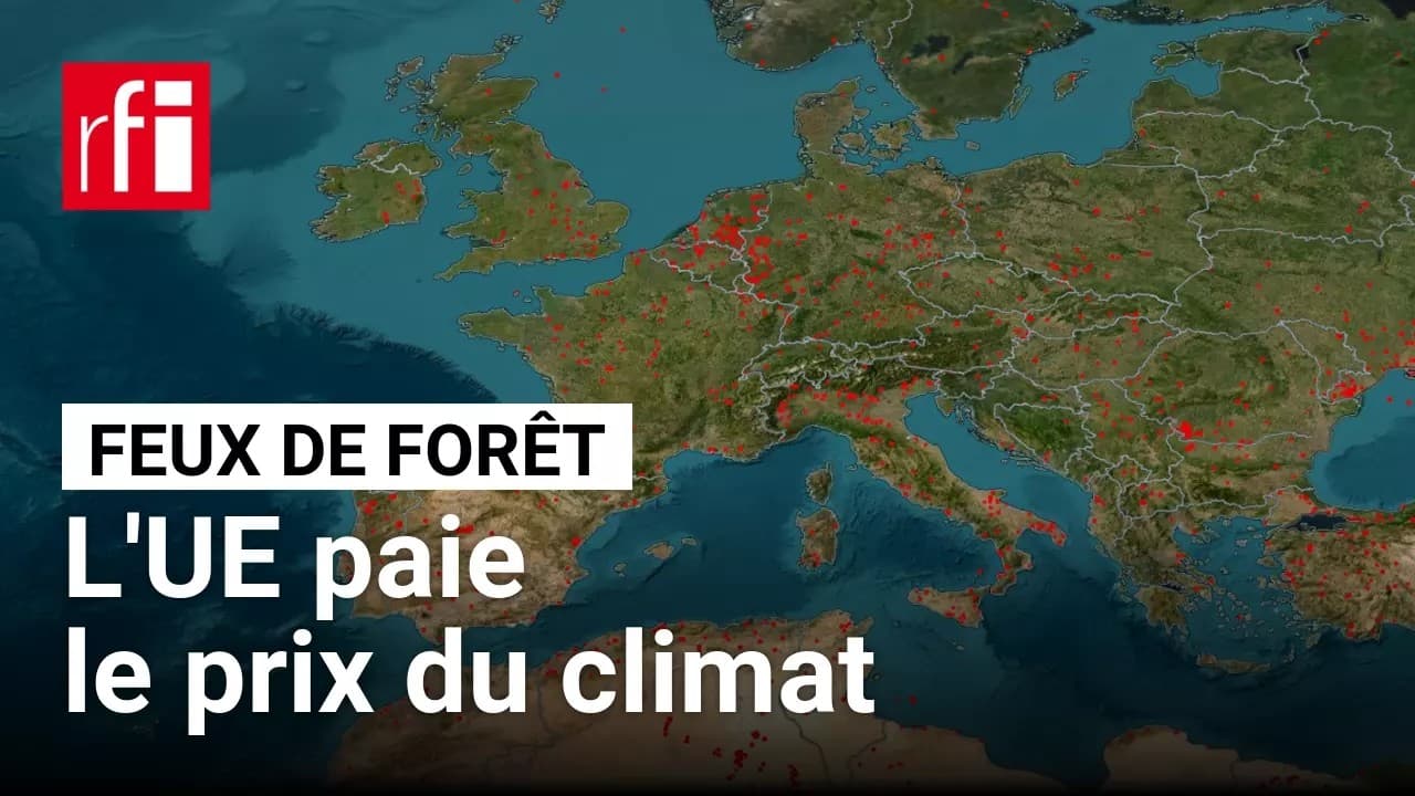 Incendies : 6 milliards par an, et le contribuable paie la facture
