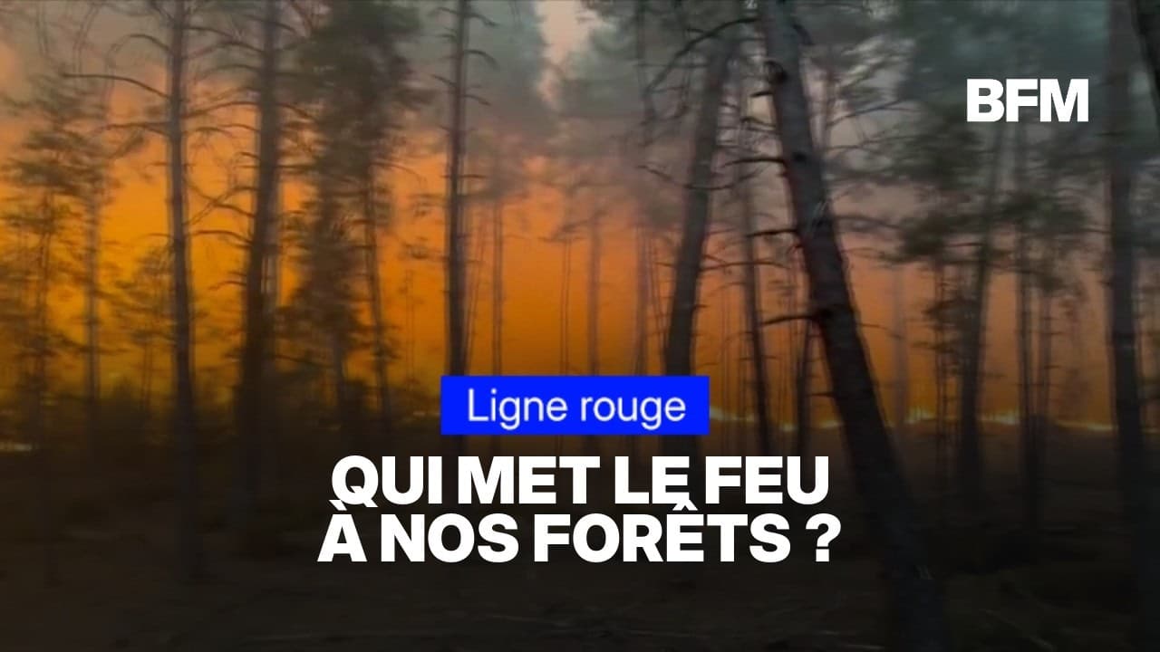 Pyromanes : le témoignage d'un ancien pompier incendiaire