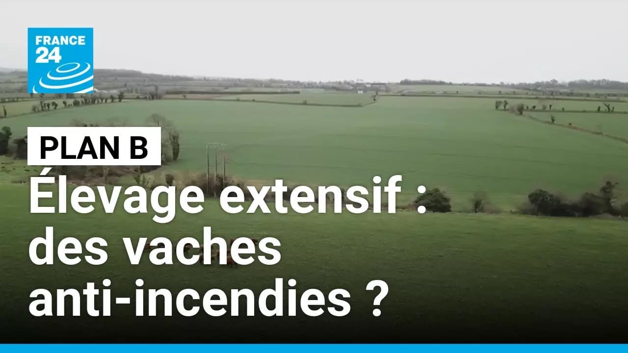 Élevage intensif : la Bretagne montre l’alternative paysanne qui sauve la planète