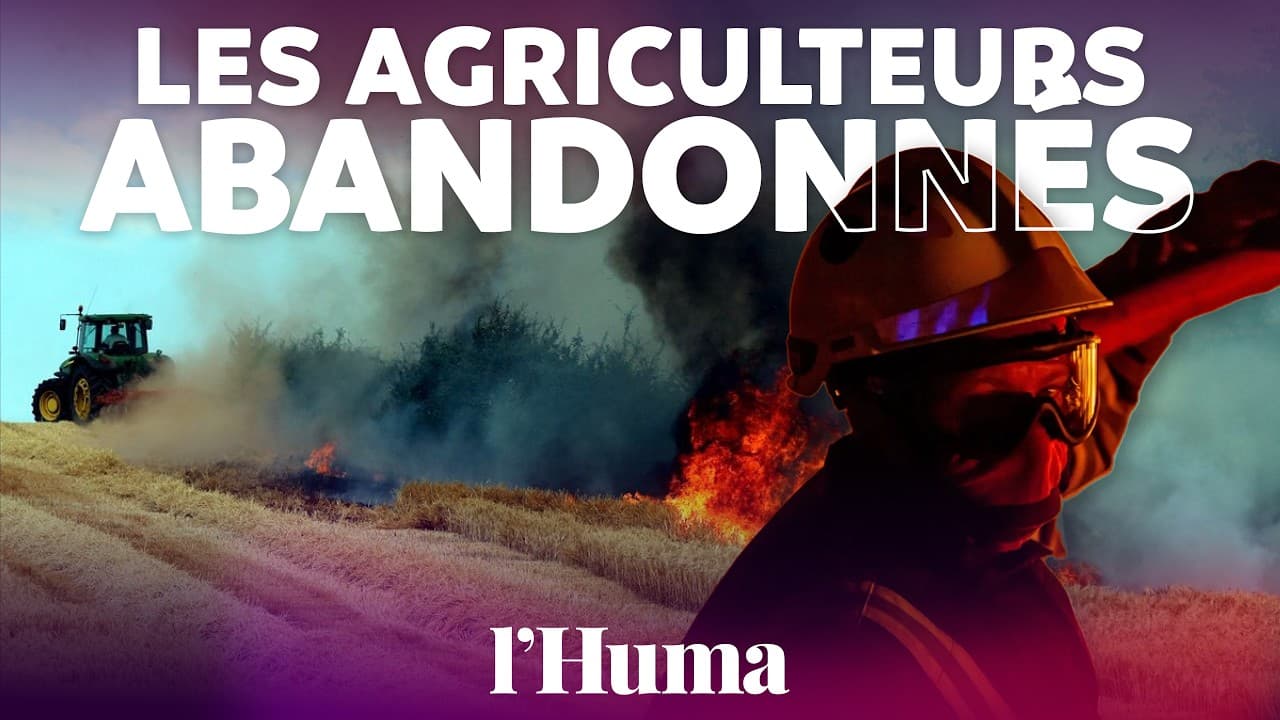 Sécheresse et incendies : le système d'indemnisation des agriculteurs en échec