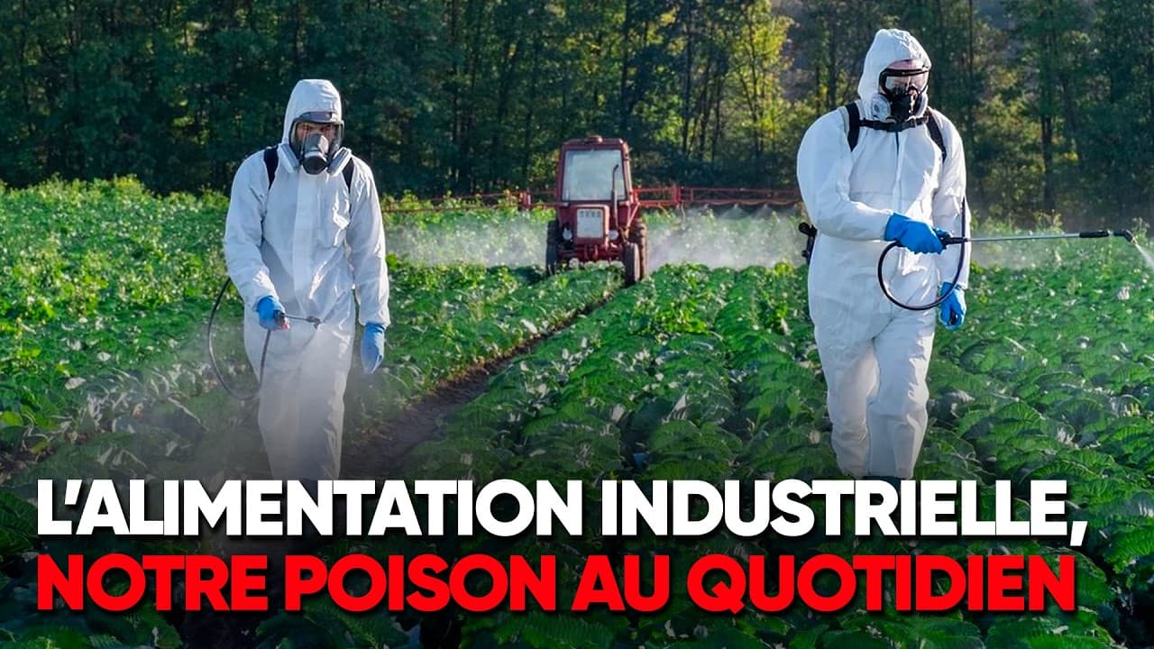 Pesticides : le poison légal dans nos assiettes