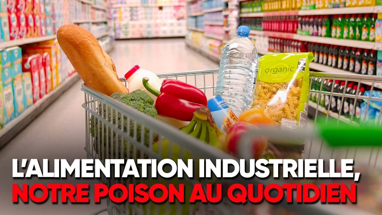 Pesticides : le poison légal dans nos assiettes