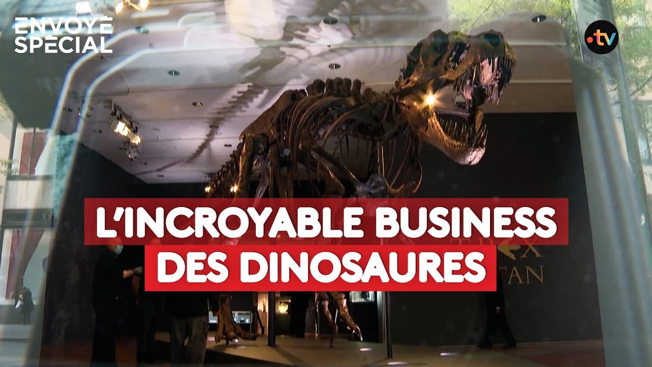 Faux T-Rex, vrais millions : comment un réseau a blanchi des squelettes de dinosaures dans les musées
