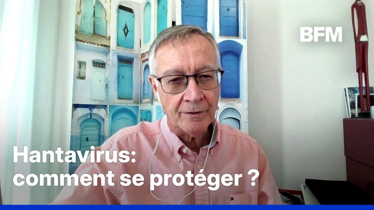 Hantavirus : la croisière qui a failli semer l'épidémie en France
