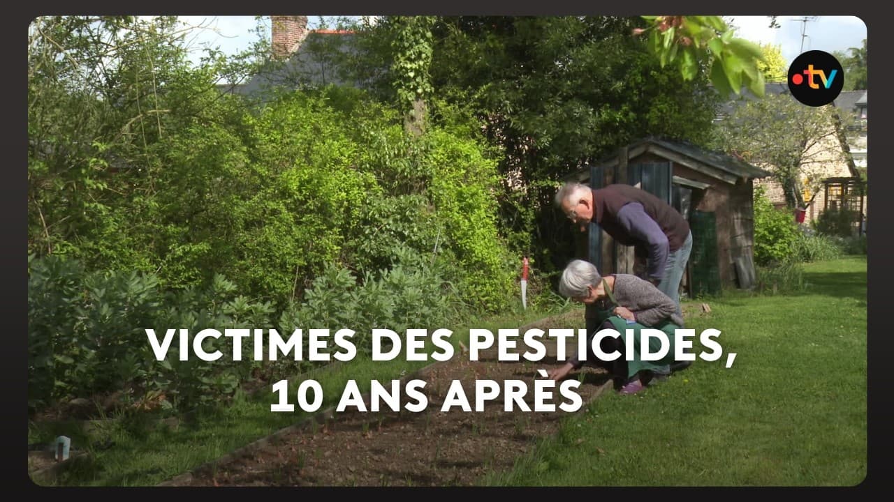 Pesticides : le silence coupable qui tue les agriculteurs français