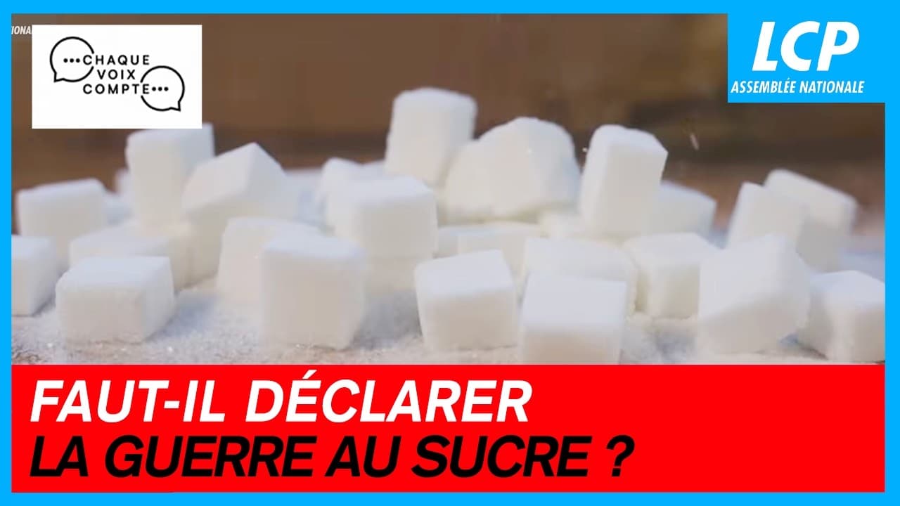 L'industrie agroalimentaire : comment le sucre tue les pauvres avec la complicité de l’État