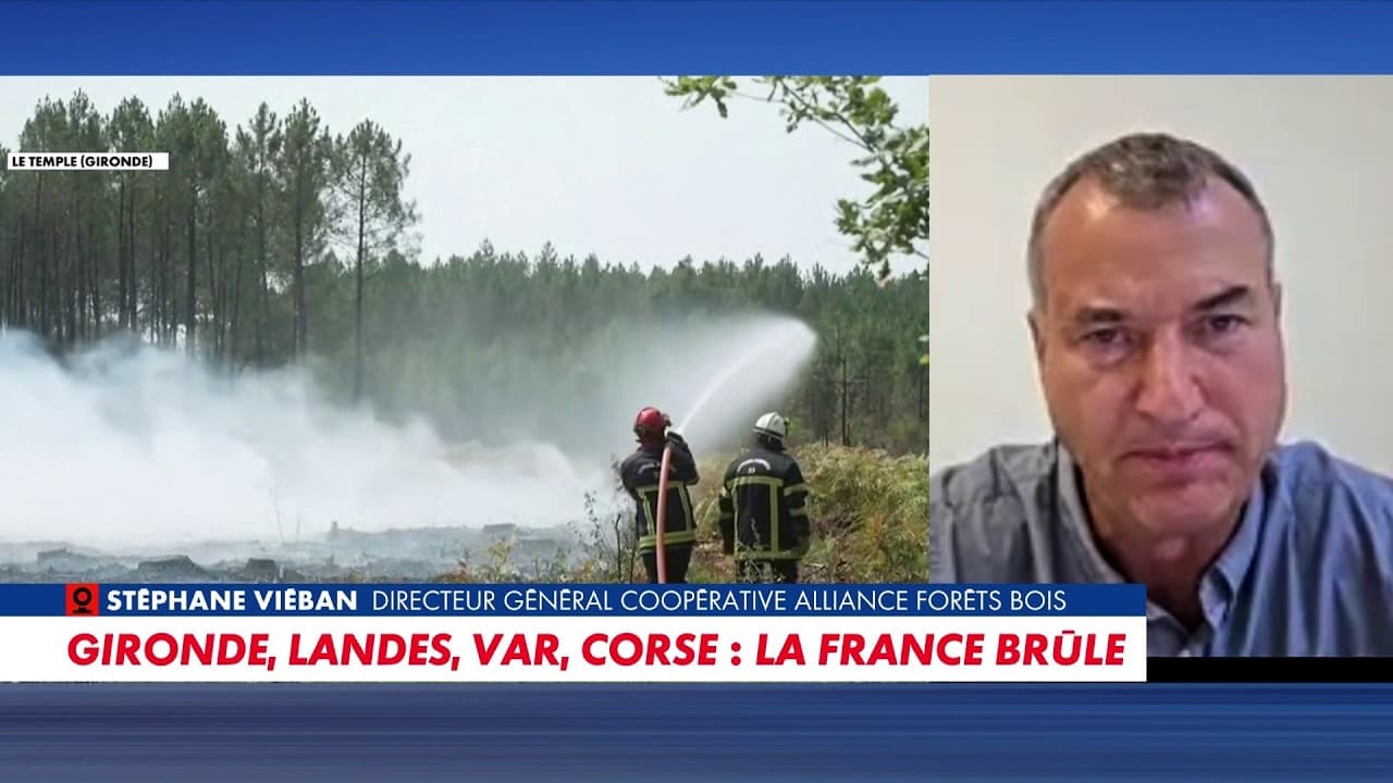 Incendies : le scandale des 90% de maisons non débroussaillées