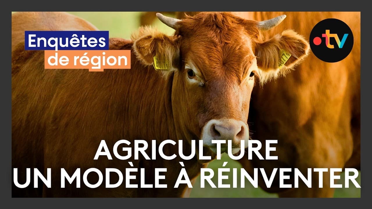 Crise agricole : 200 fermes disparaquent chaque semaine – le modèle français peut-il survivre ?