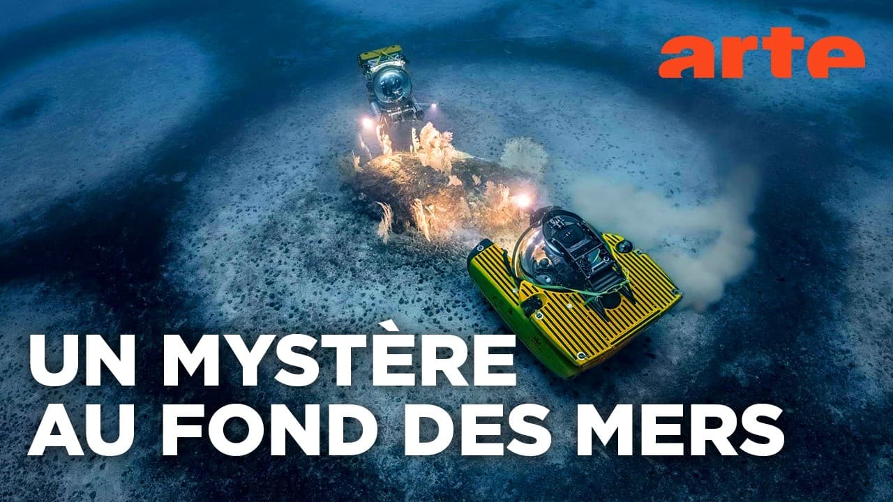 Cap Corse : le mystère des 1417 anneaux sous-marins enfin élucidé ?