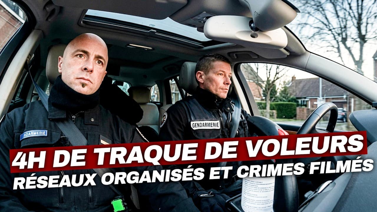Trafic de migrants, drogue et vols : les gendarmes face à la criminalité organisée dans le Nord