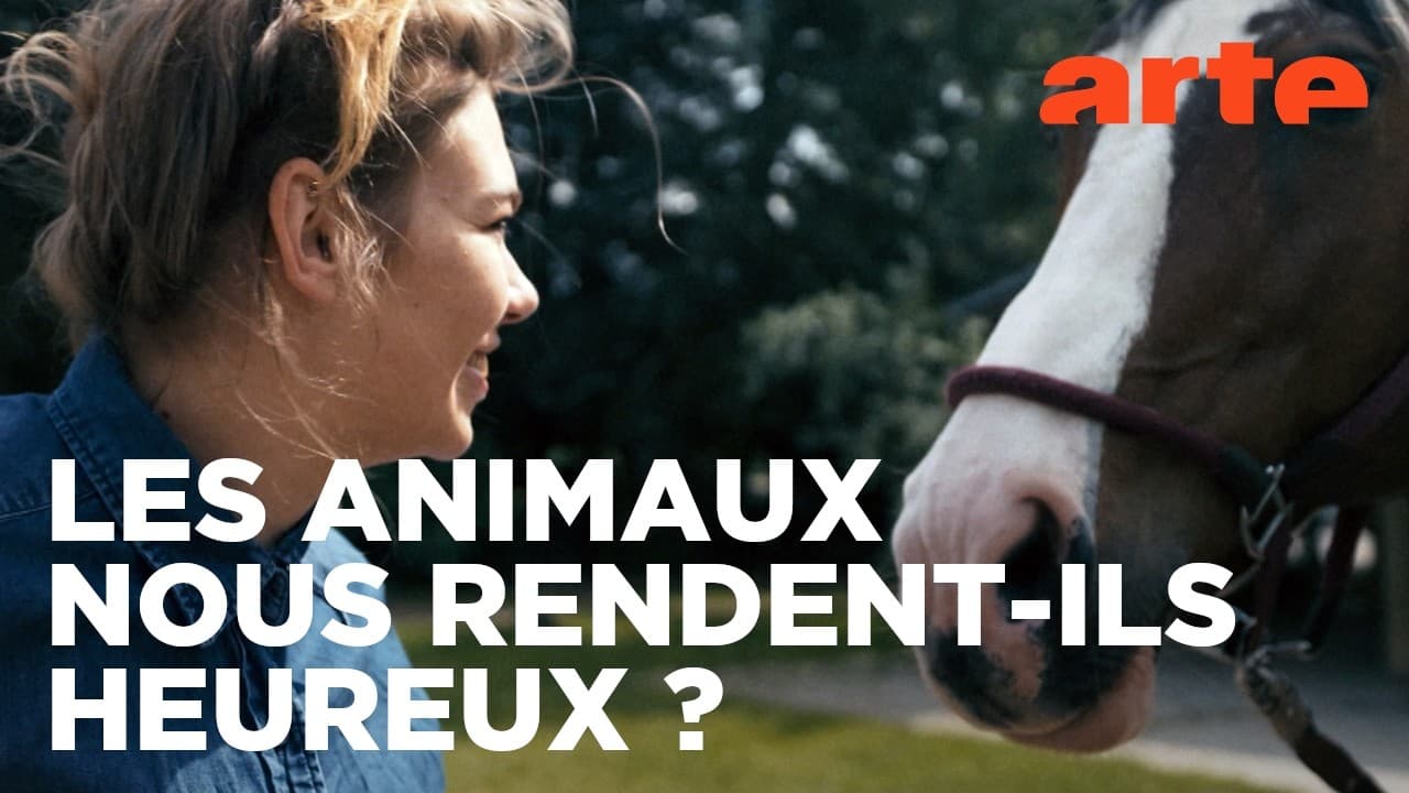 Les chevaux, miroirs de nos émotions : une thérapie révolutionnaire