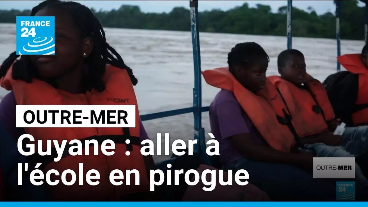 Sargassesses et enclavement : quand la France d'outre-mer étouffe