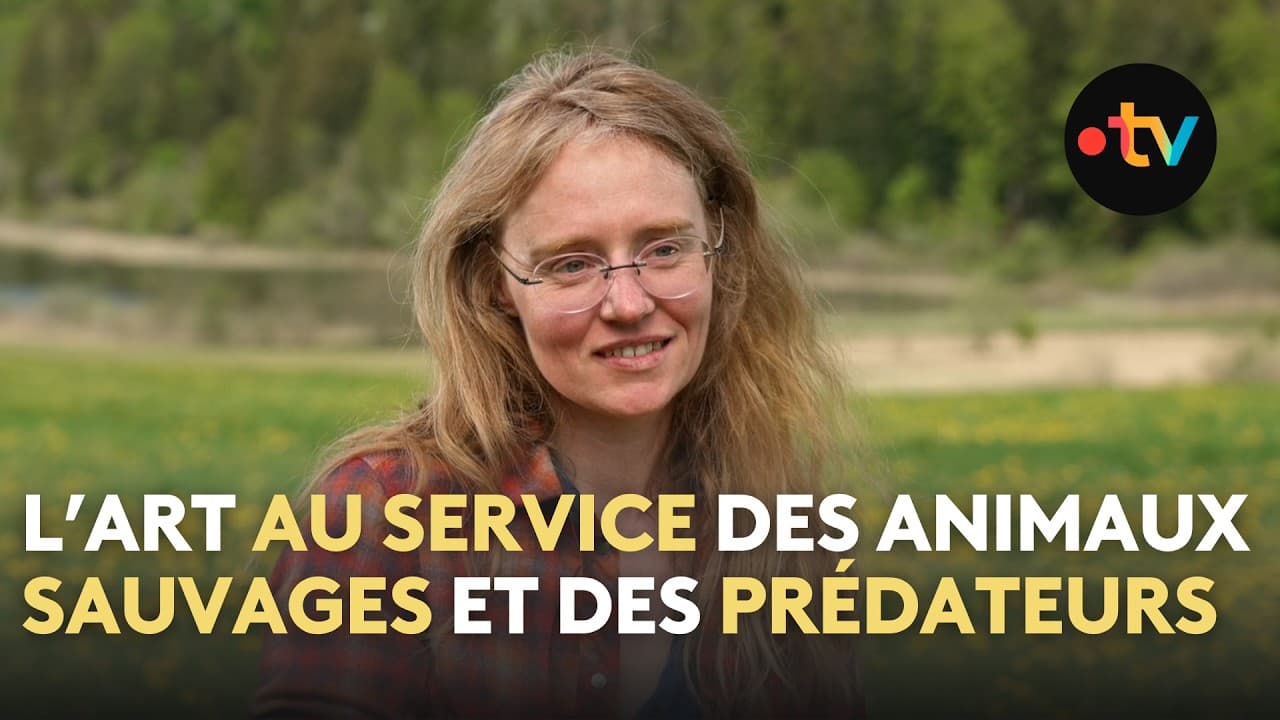 Lise Urpio : l'artiste qui veille sur les troupeaux du Jura face au loup