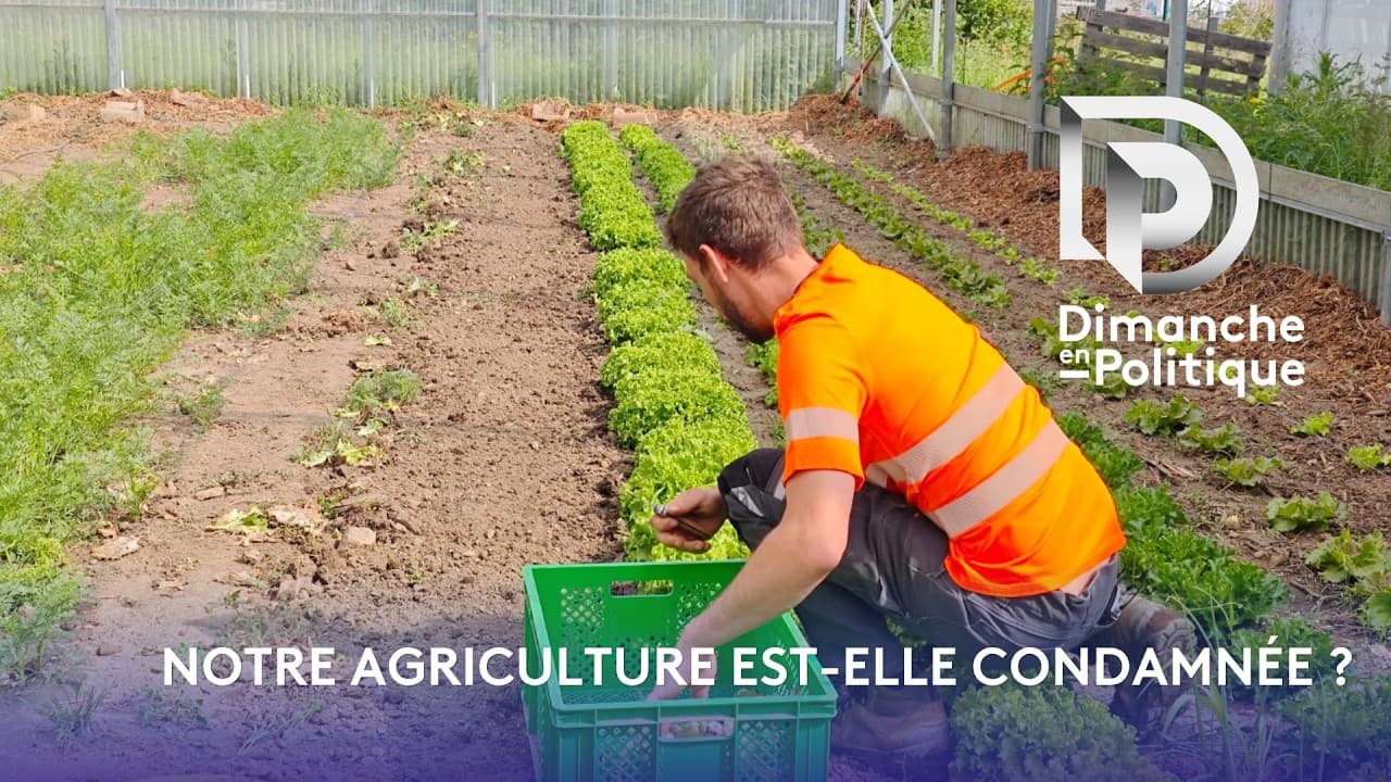 Agriculture française : un modèle à bout de souffle face au climat ?
