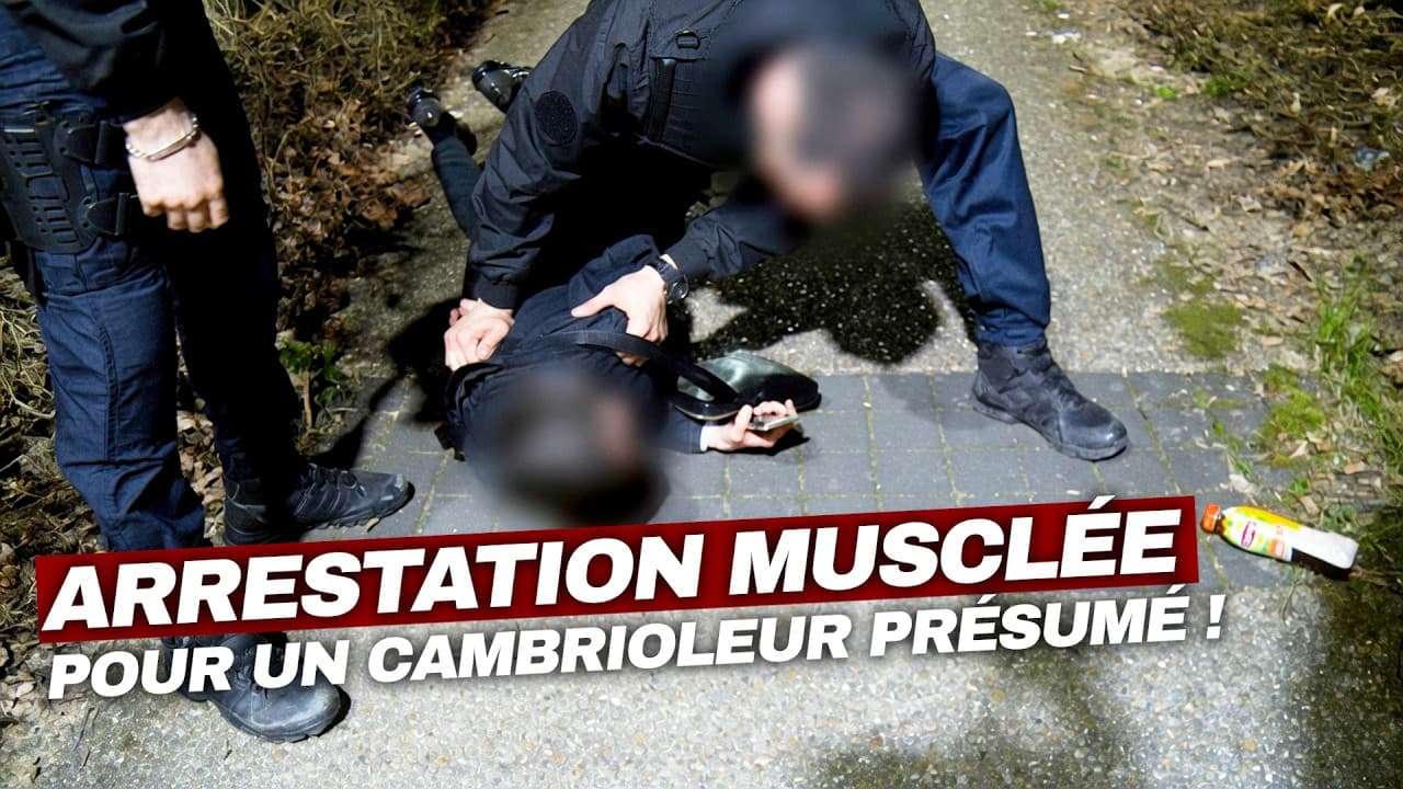 Essonne : un barman récidiviste condamné à 8 mois ferme pour alcool au volant