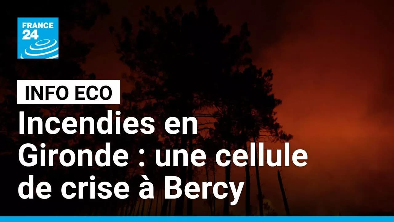 Incendies en Gironde : 115 000 hectares partis en fumée, l'industrie nucléaire sous la menace