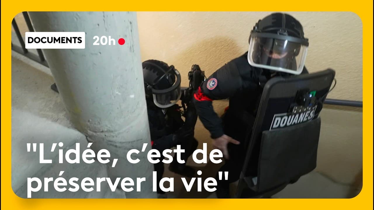 Trafic d'armes en France : les douaniers face à l'hémorragie