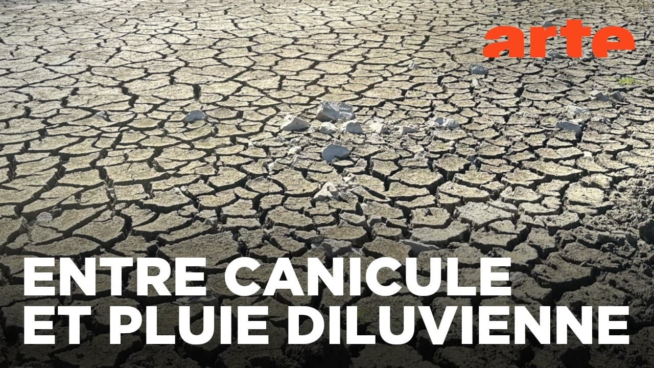 Climat : 6,6 millions pour une rivière — et le contribuable attend le retour sur investissement