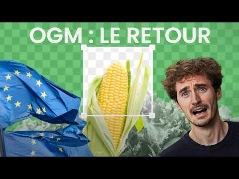 OGM cachés : l'UE s'apprête à autoriser les NGT sans vous le dire