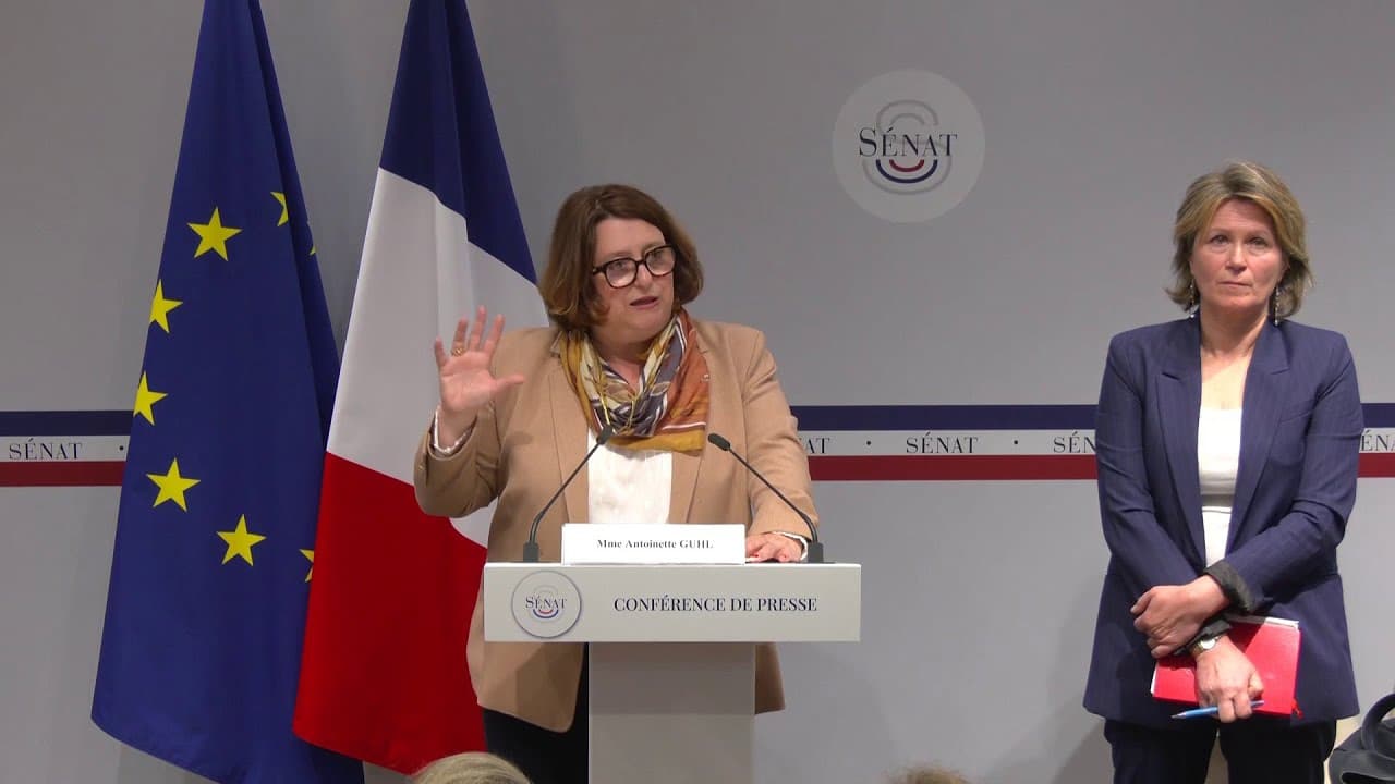 Leclerc et Carrefour : 14 millions d'euros par an pour les directeurs – l'enquête parlementaire qui fracasse le mythe