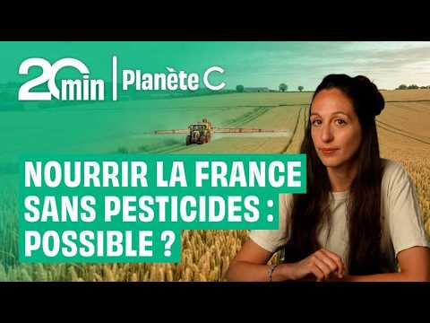 Pesticides : l'INRAE prouve qu'une alternative viable existe