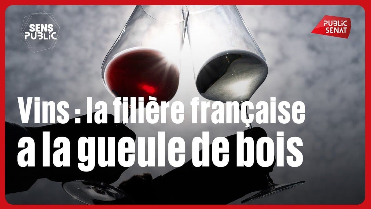 Vin français : le terroir sacrifié, 28 000 hectares arrachés