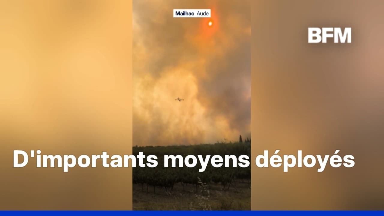 Incendies dans l'Aude et l'Hérault : 700 hectares brûlés, les pompiers face à un été sous tension