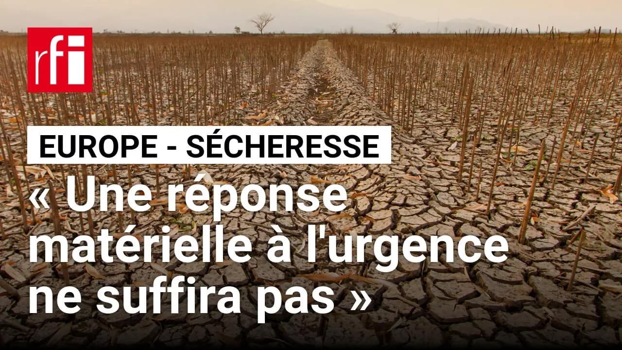 Sécheresse : 95% de la France en zone rouge, l'UE admet son impuissance