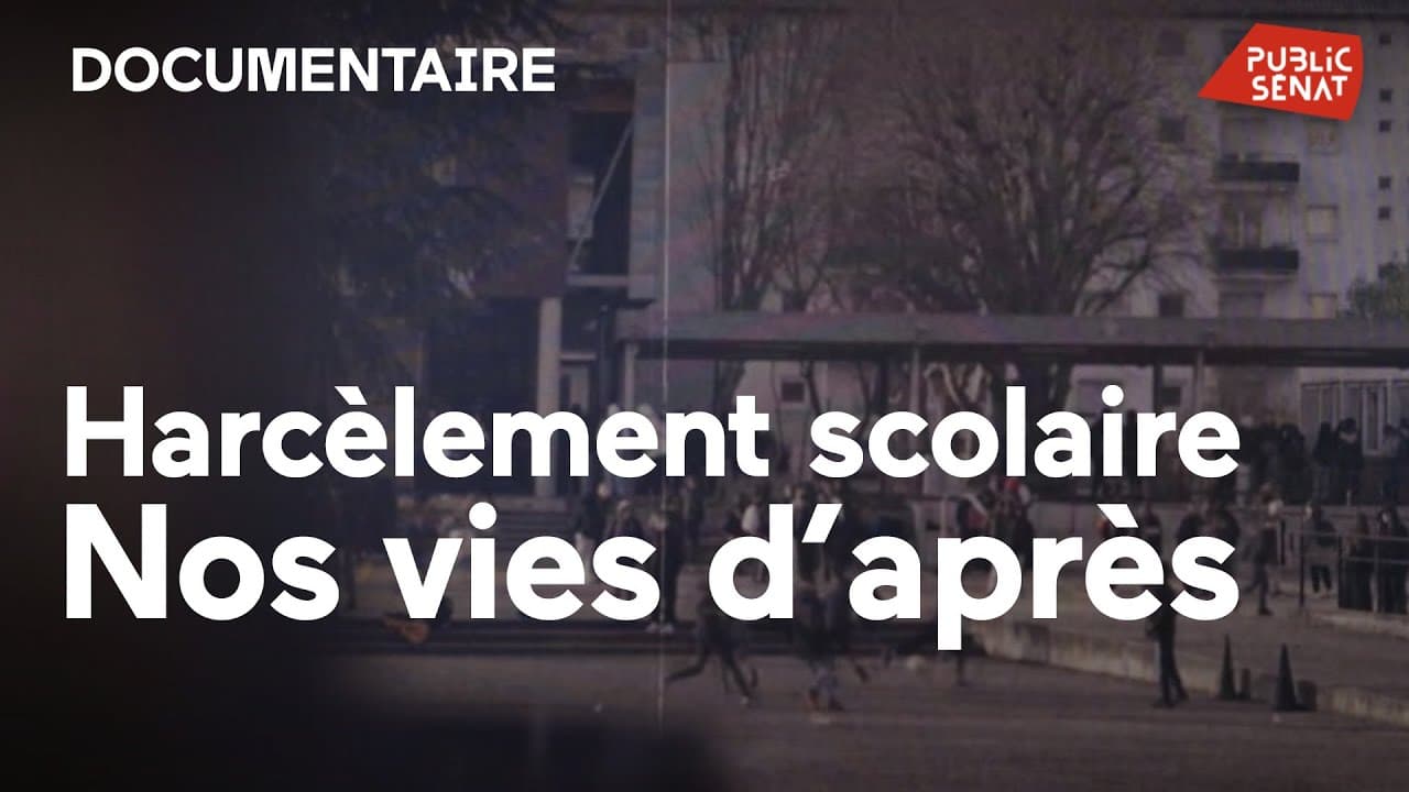 Harcèlement scolaire : quand les murs de l'école deviennent des pièges