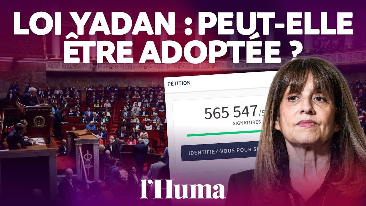 Loi Yadan : comment Macron s'apprête à museler la critique d'Israël