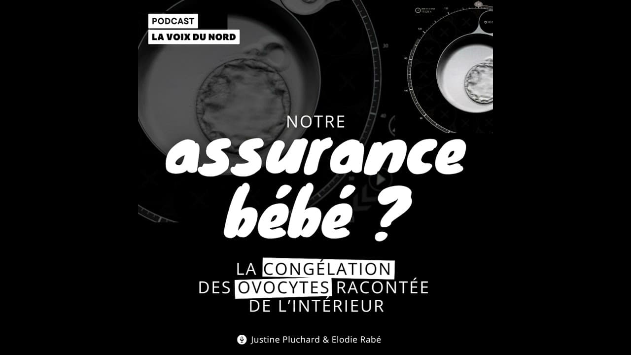 Congélation des ovocytes : un droit devenu réalité en France