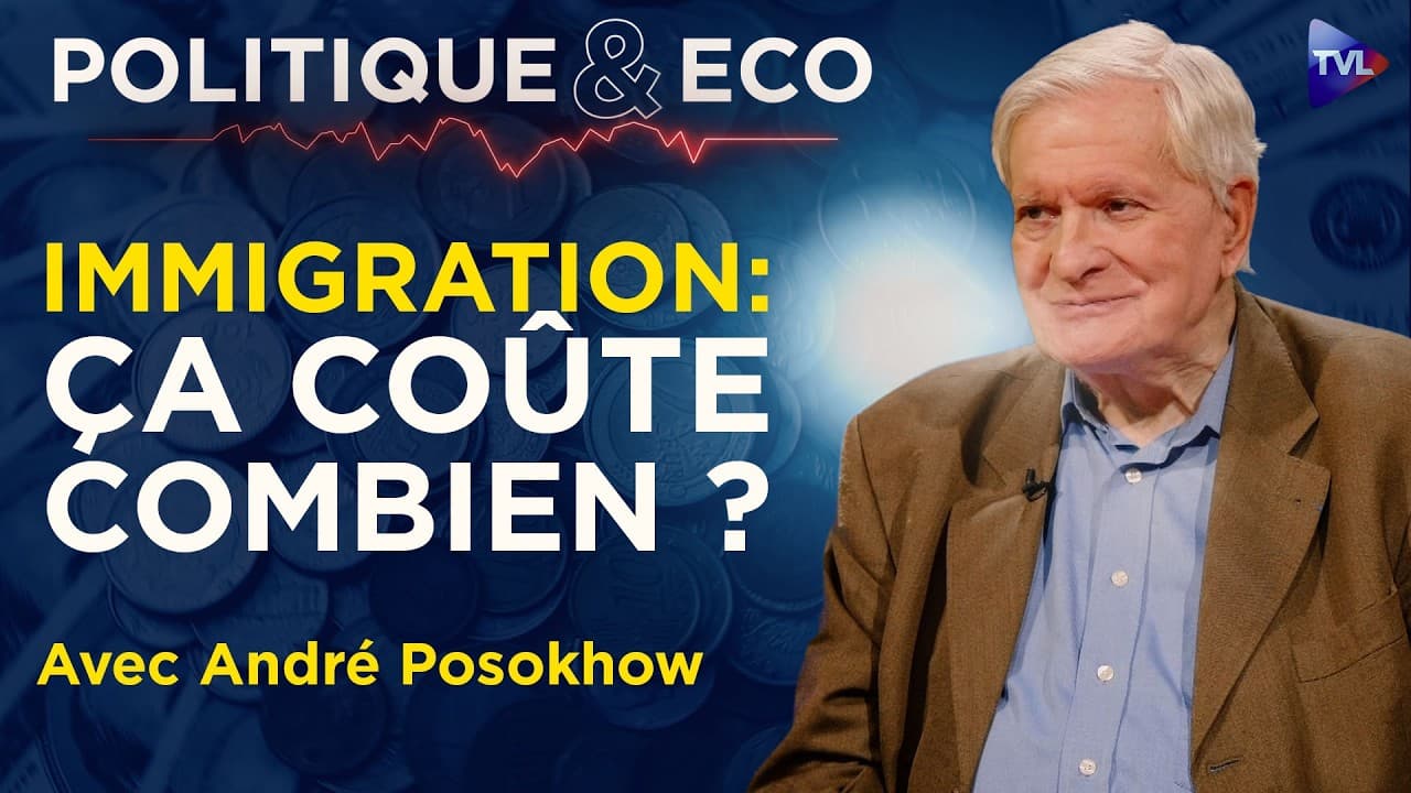 Immigration extra-européenne : 250 milliards de déficit selon une enquête d'André Posokov