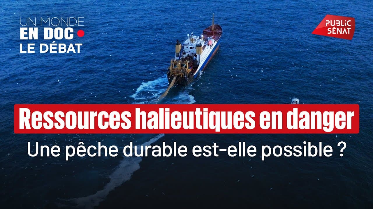 Pêche française : 60% de stocks durables, mais un plafond de verre qui inquiète