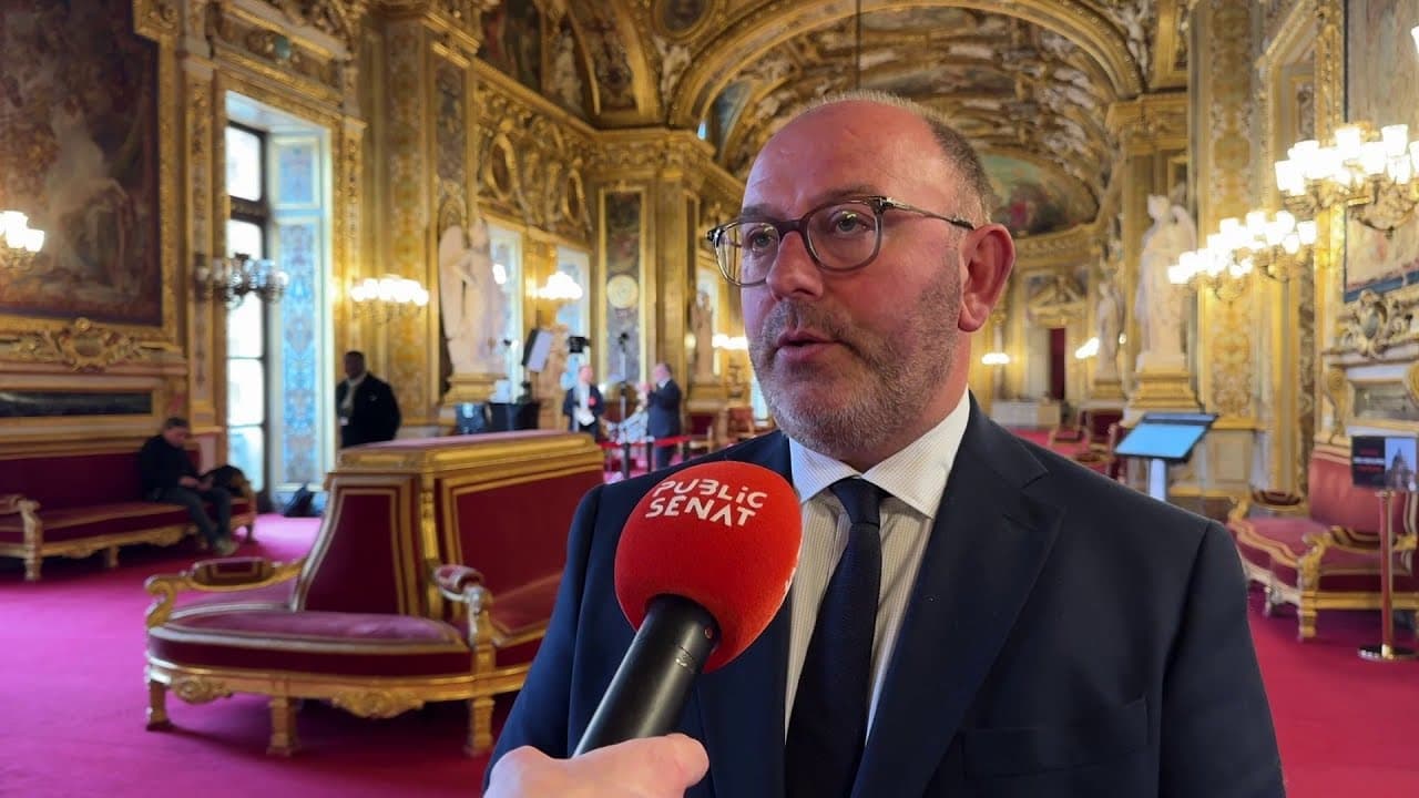 Pesticides interdits : comment le Sénat prépare leur retour en catimini