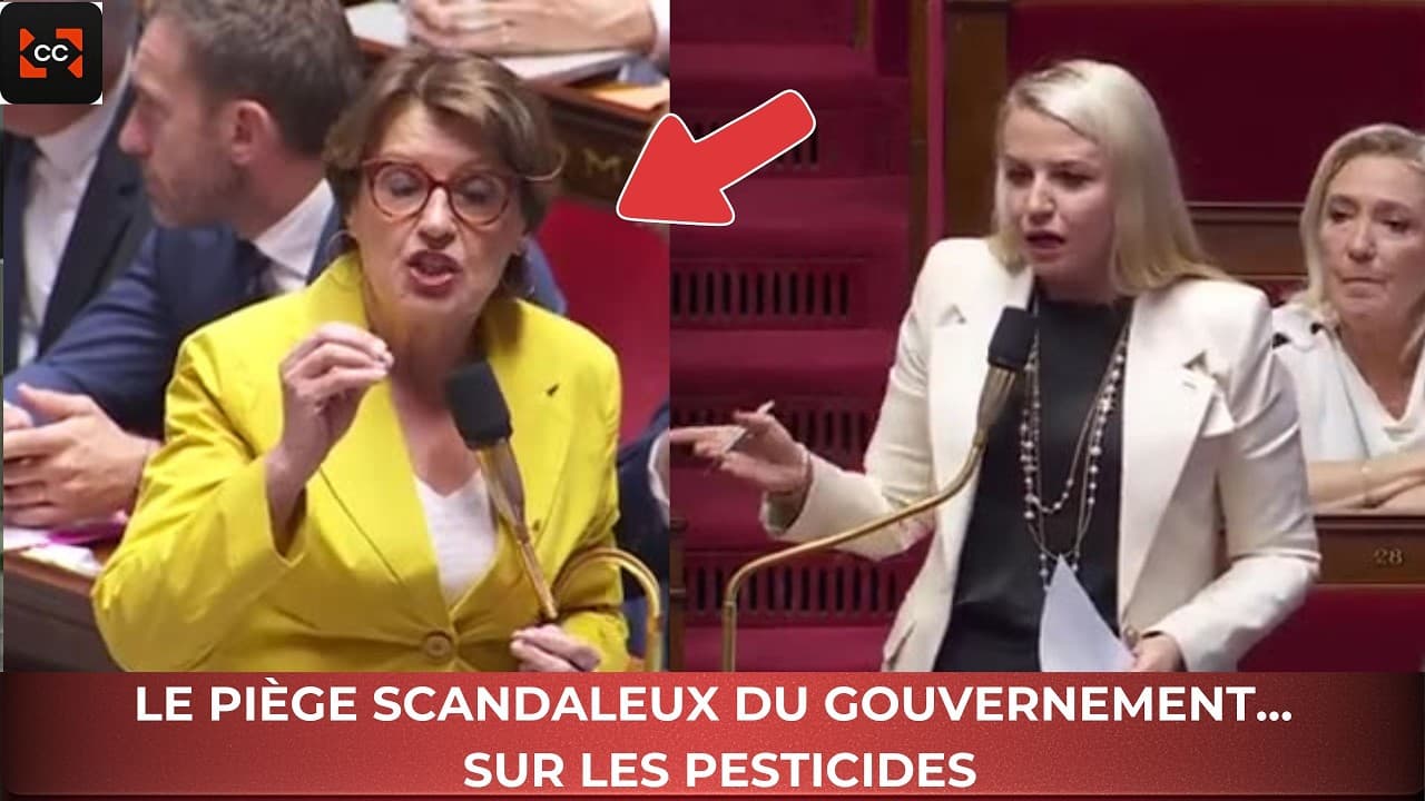 Néonicotinoïdes : une députée accuse le gouvernement de manipulation politique