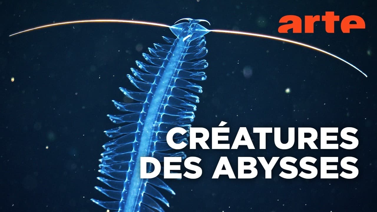 Abysses : l’exploitation minière menace un mécanisme climatique vital