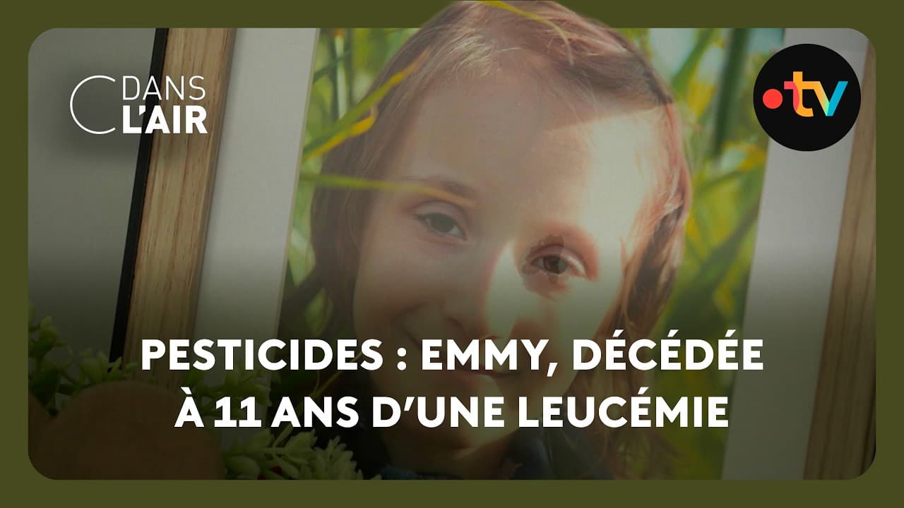 Pesticides dans les fleurs : la mort d'Emmy Marivain, 11 ans, reconnue