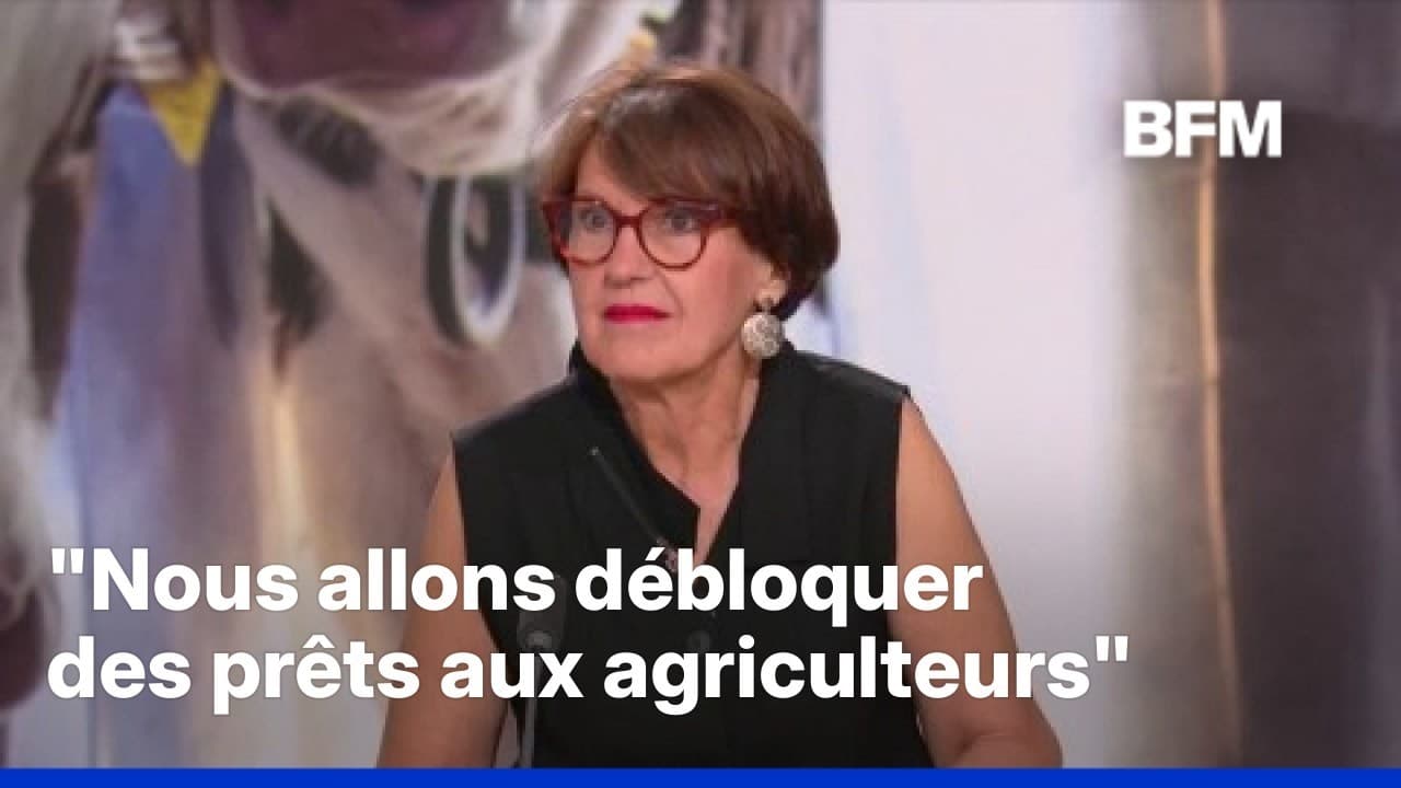 Canicule : Annie Genevard annonce des prêts, les agriculteurs exigent plus de réactivité