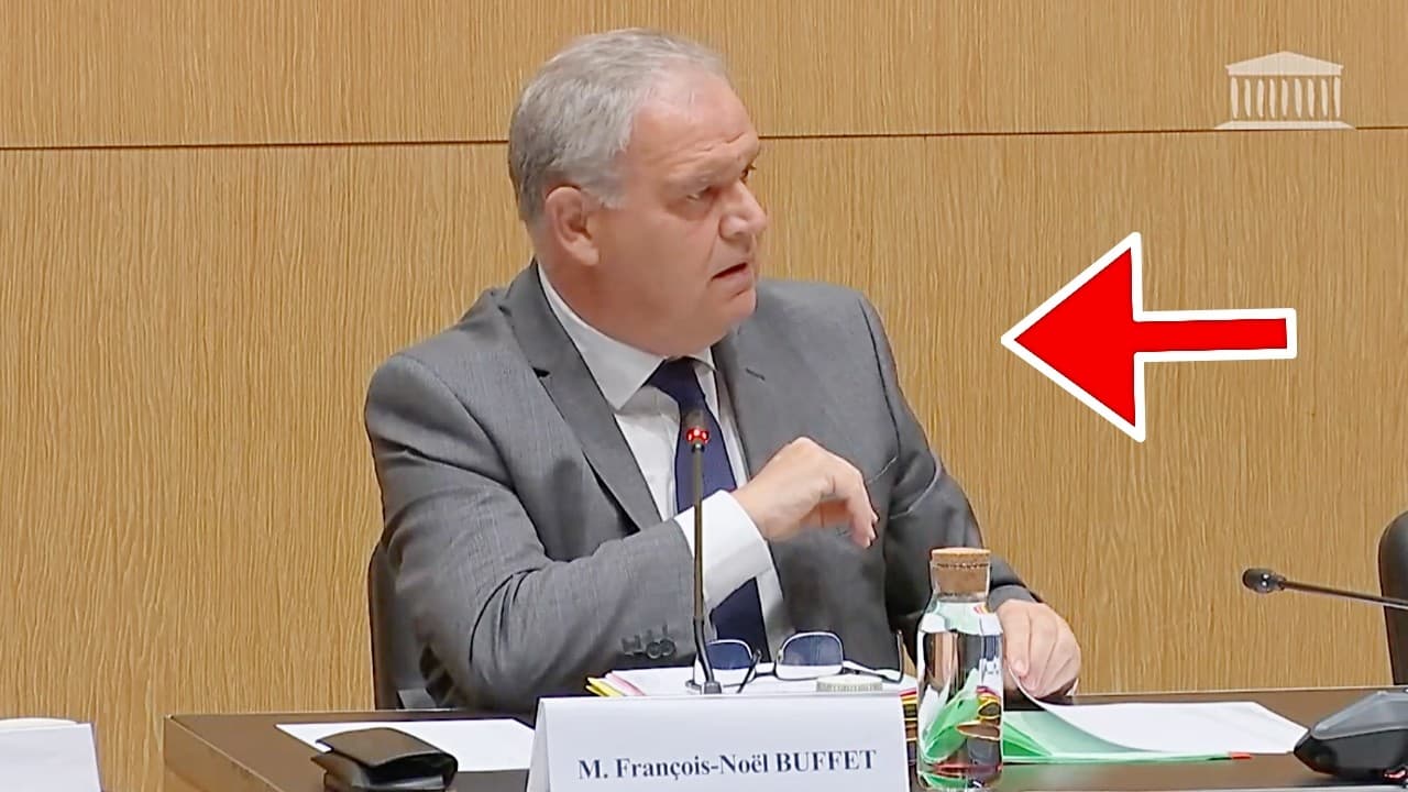 Buffet au Défenseur des droits : les députés dénoncent « une provocation » du chef de l'État