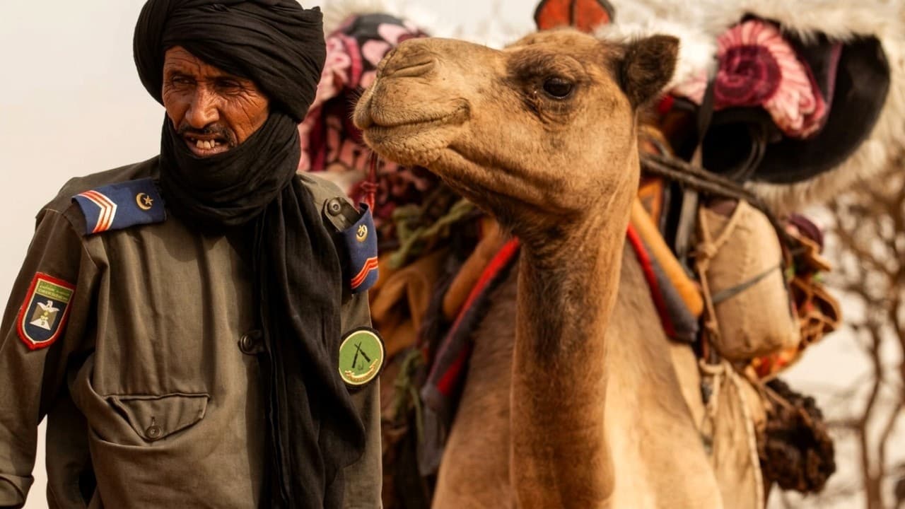 Méharistes mauritaniens : l'arme oubliée contre le terrorisme au Sahel