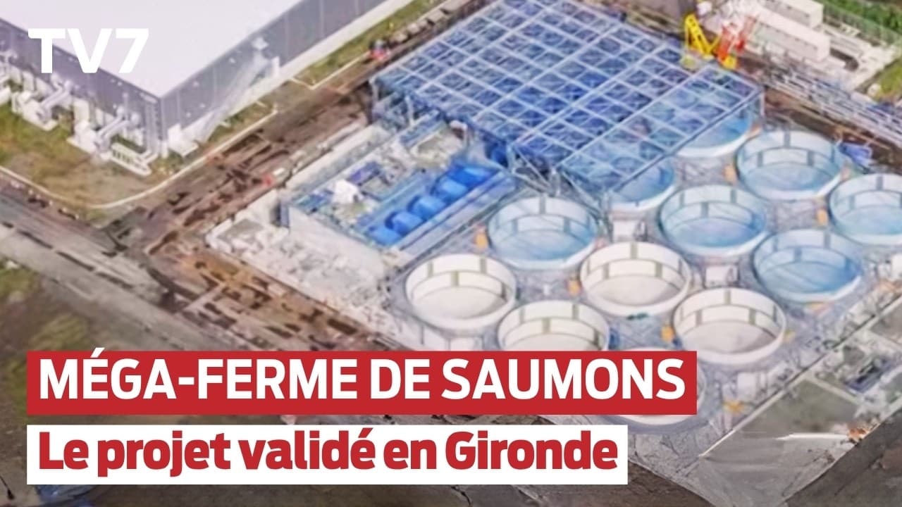 Gironde : feu vert pour une méga ferme de saumon, la préfète signe en pleine sécheresse