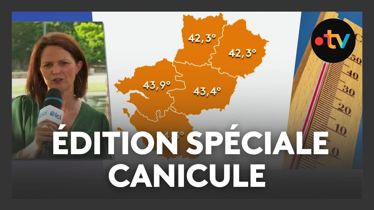 44,3°C, un mort : la France pulvérise tous ses records de chaleur