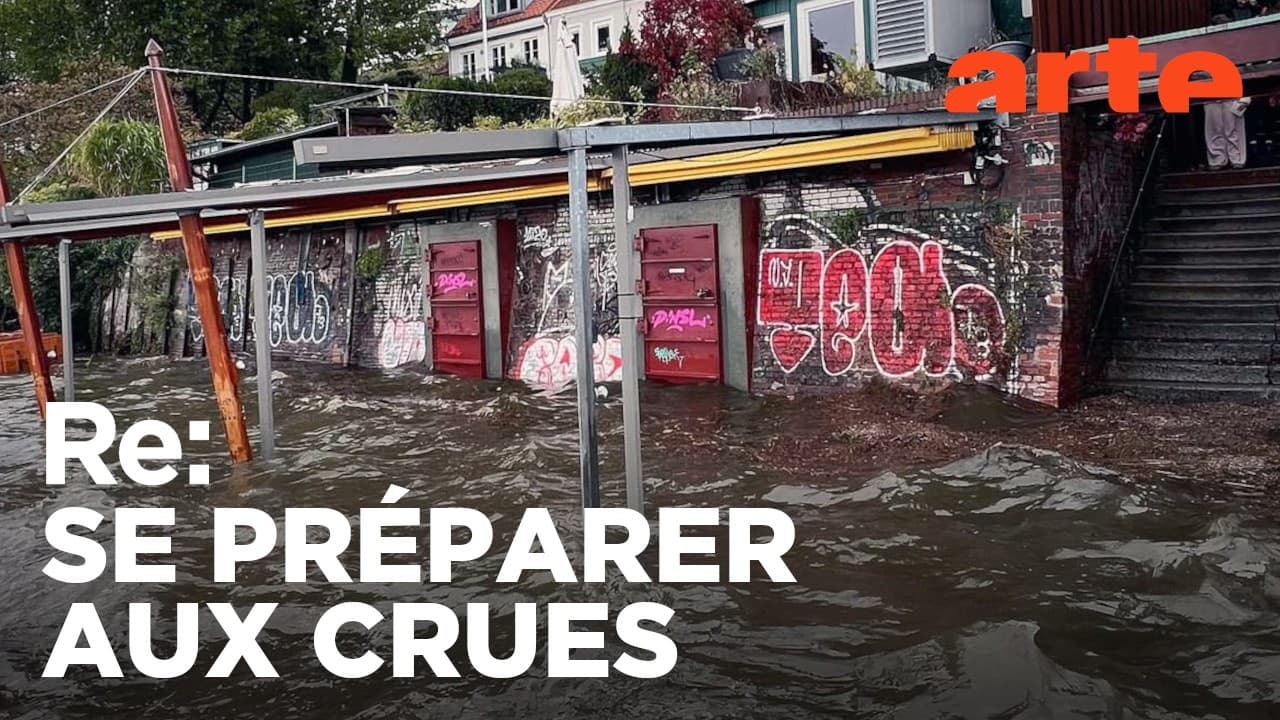 Hambourg et Copenhague sous l'eau : le changement climatique frappe fort