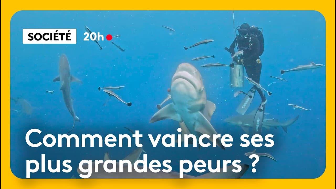 Requins, montagnes et puits de la mort : l'industrie du frisson qui rapporte gros
