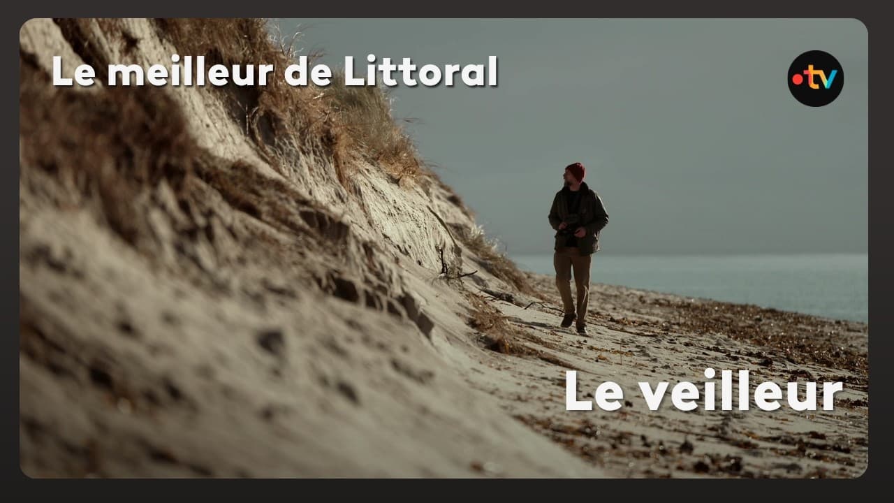 Érosion en Bretagne : 25 tempêtes, 10 ans de films