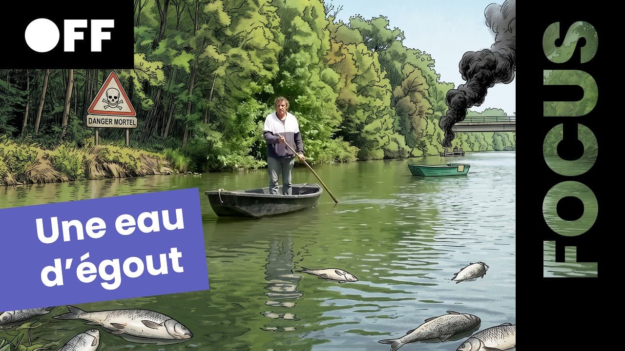 Mégabassines : comment l'État a sacrifié la deuxième zone humide de France