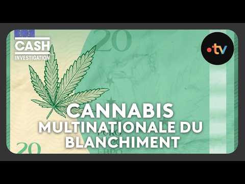 Blanchiment du cannabis : l'ambulance, les lingots et le système qui noyautait l'économie légale