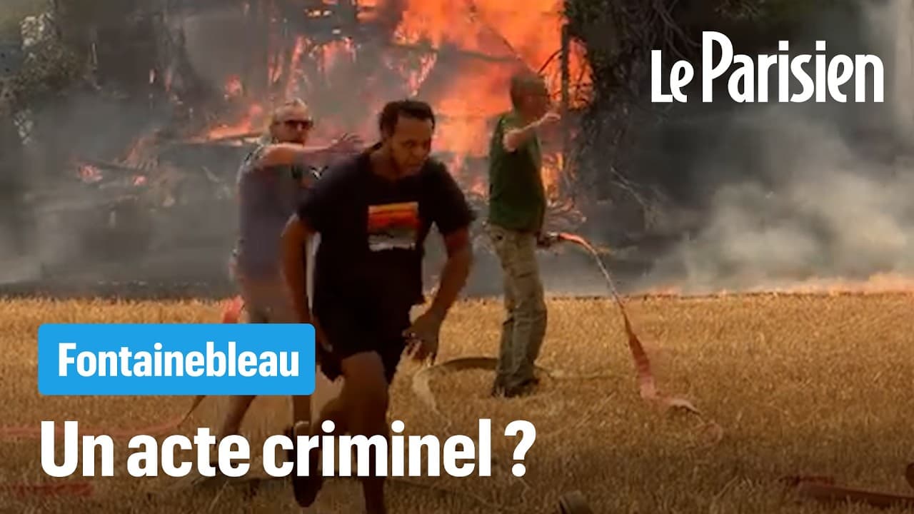 Fontainebleau : 1000 hectares brûlés, la piste criminelle se précise